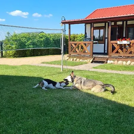 Sonar Боболин