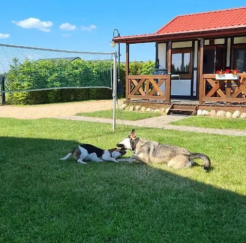 Sonar Боболин